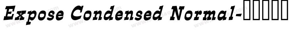 Expose Condensed Normal字体转换